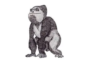 gorilla