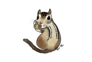 chipmunk